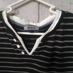 去年、購入、美品の画像