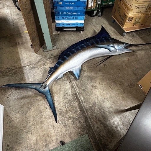 J.T. Reese, Taxidermist Inc カジキ 特大261cm壁掛け/アメリカ/フロリダ/模型/オブジェ/ヴィンテージ/ハンティングトロフィー