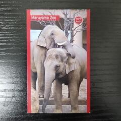 円山動物園オフィシャルショップ限定カード