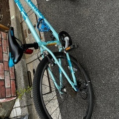 ジュニア用24インチ マウンテン/クロスバイク 8段変速 英国Squish製 の画像