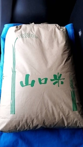 ⑧令和6年新米　山口市産　コシヒカリ