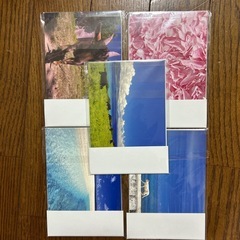 沖縄　中西康治さんポストカードの画像