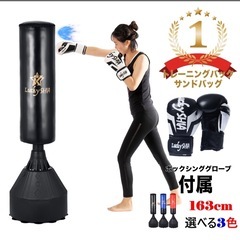 【お取引決定】サンドバッグ ボクシングの画像