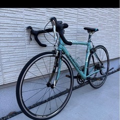 bianchi cabor 
