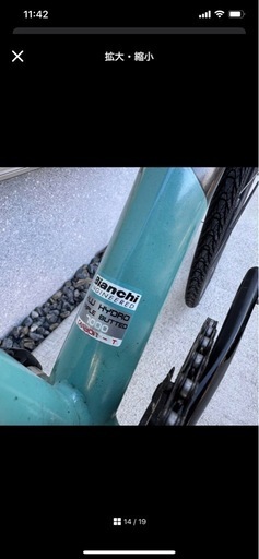 bianchi cabor 
