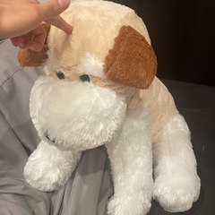 ぬいぐるみ