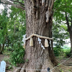 タロット占い練習