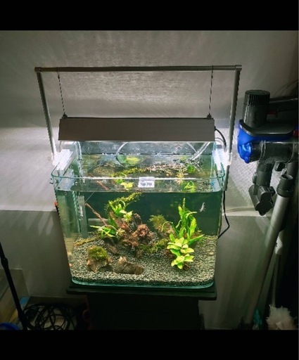 45センチ水槽1式
