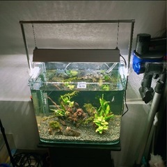 45センチ水槽1式