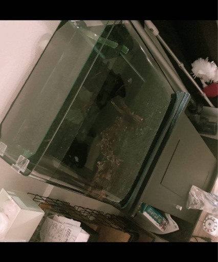 45センチ水槽1式
