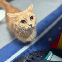 長く続く友達が欲しいです🥺