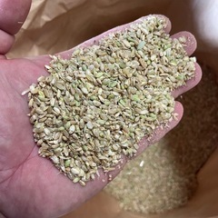 6年産コシヒカリくず米　再値下げ　残り5の画像