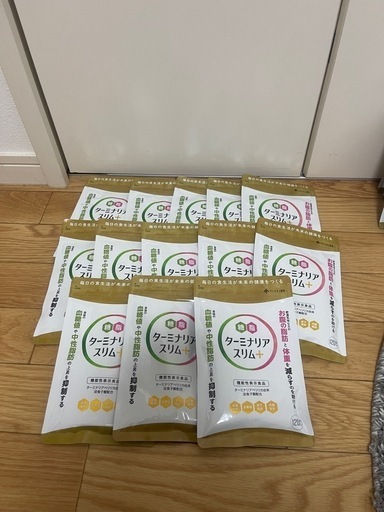 【新品】ターミナリアスリム＋