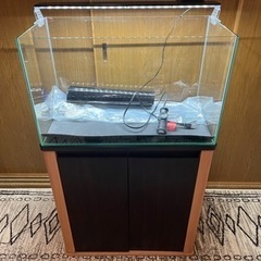 ★ガラス水槽+水槽台+その他セット