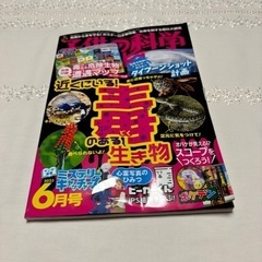 子供の科学　2023年6月号