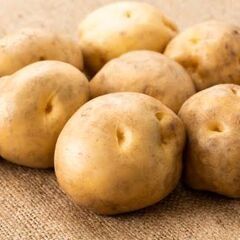 じゃがいも、新じゃが、1kg、無農薬、男爵、きたあかり、北あかりの画像