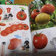 幼児　読み物　絵本　教育　ぴっかり　ワンダーランドの画像