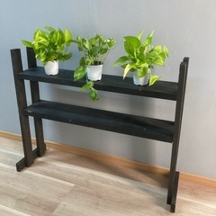 観葉植物とDIY棚セット