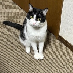 メンタルグルメンバー募集❣️