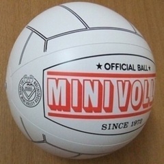 【初心者向け🔰】名古屋でミニバレーしませんか？🏐✨✨ - 名古屋市