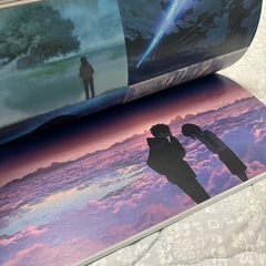 2019年購入.新開誠展 公式図録の画像