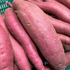 鳥取県米子市　さつまいも　4キロ前後　新鮮　甘くて美味しい　期間限定品　⑦　農家直送の画像