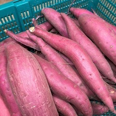鳥取県米子市　さつまいも　4キロ前後　新鮮　甘くて美味しい　期間限定品　⑦　農家直送の画像