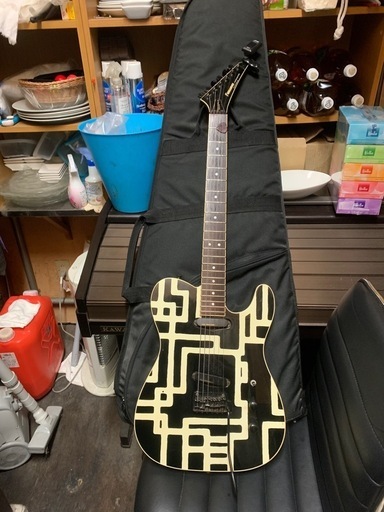 布袋モデル　フェルナンデス