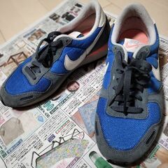 NIKEスニーカー☆難あり/24cm