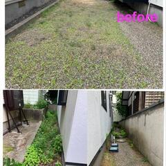 単発！除草作業できます(大館市・能代市)