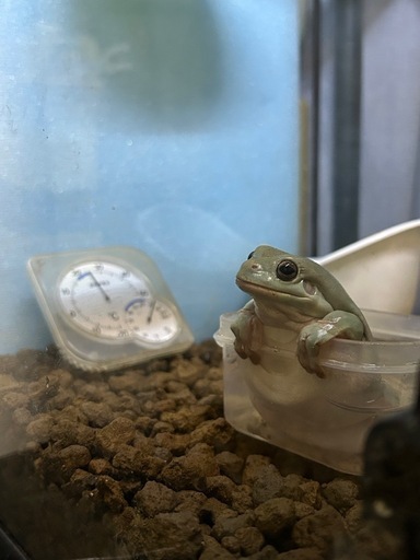 取引完了しました