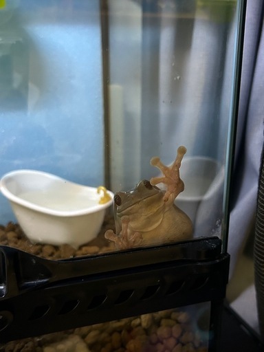 取引完了しました