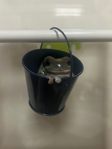 取引完了しました