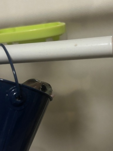 取引完了しました