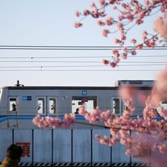 【LUMIXユーザー必見！】LEICA DG VARIO-ELMARIT 35-100mm / F2.8 / POWER O.I.S.の画像