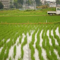 【LUMIXユーザー必見！】LEICA DG VARIO-ELMARIT 35-100mm / F2.8 / POWER O.I.S.の画像