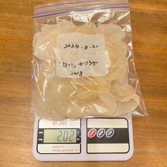 【採れたて】生「白い」キクラゲ 菌床栽培 200g
