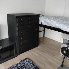 【即入居可能！】保護猫シェアハウス（女性限定）住むだけでボランティア／人気の創成川イースト 2駅利用 家具家電付き  - 札幌市