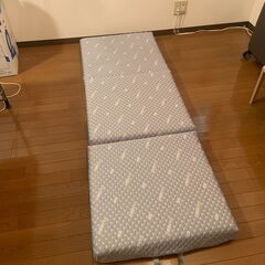 エムール ごろ寝マット 長座布団 Lサイズ コンパクトマットレス...
