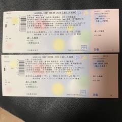 AKABIRA CAMP BREAK 2024チケット　×2枚　　