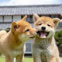 障害をお持ちのかた、一つの出会いとして