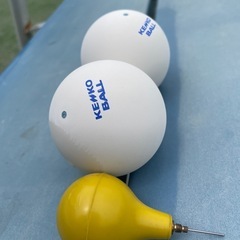 ソフトテニス参加メンバー募集🎾✨