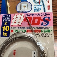 ワイヤーハンガー新品未使用品2個セットの画像