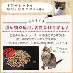 【猫砂】新品 システムトイレ用 木質ペレット 大きめ粒 32Lの画像
