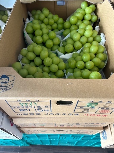 シャインマスカット　秀品　5㌔　一箱　大房　