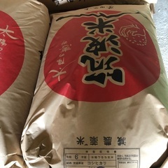 新米コシヒカリ