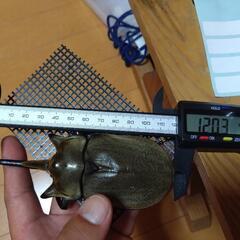 大型ペアエレファスゾウカブトの画像