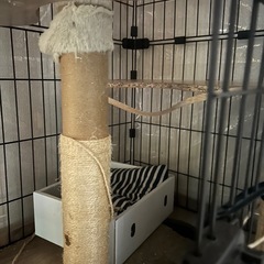 キャットゲージ