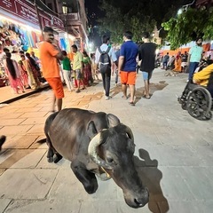 インド旅行を語る会♪ - 名古屋市