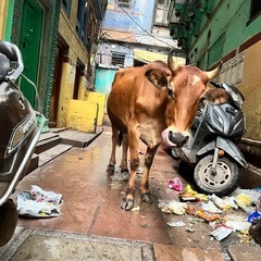 インド旅行を語る会♪